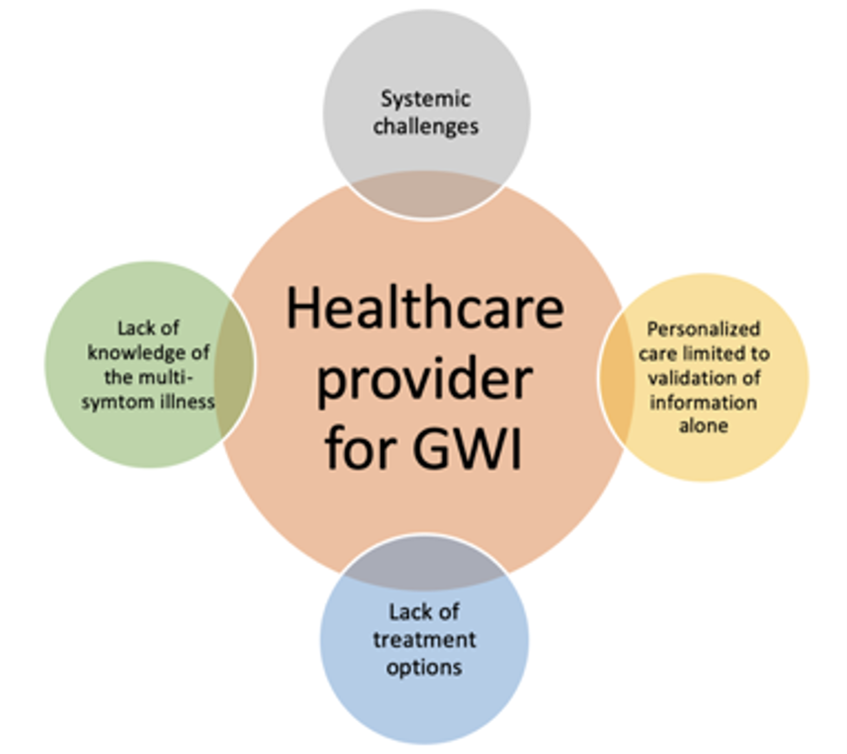 Infographic of Healthcare provider for GWI: systemic changes, personalized care limited to validation of information alone, lack of treatment options, lack of knowledge of the multi-symptom illness